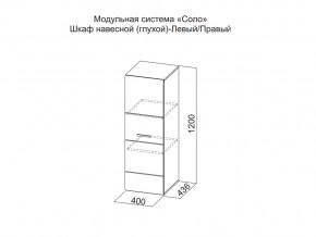 Шкаф навесной (глухой) Левый в Трёхгорном - tryohgornyj.магазин96.com | фото