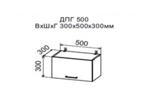Шкаф верхний ДПГ500 горизонтальный в Трёхгорном - tryohgornyj.магазин96.com | фото