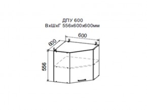 Шкаф верхний ДПУ600 угловой в Трёхгорном - tryohgornyj.магазин96.com | фото